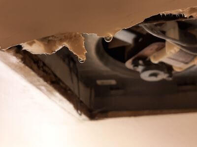 Professional black mold removal services in Summit Park - Black Mold Removal Summit Park